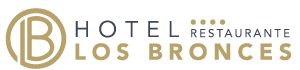 Hotel Los Bronces